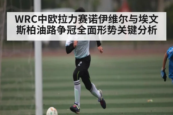 WRC中欧拉力赛诺伊维尔与埃文斯柏油路争冠全面形势关键分析